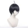 Eileen Blue Locks Kiyoshi Seiichi Wig, Heat-Resistant, Anime Wig, Disguise Wig, School Festival Wig [Includes Net]