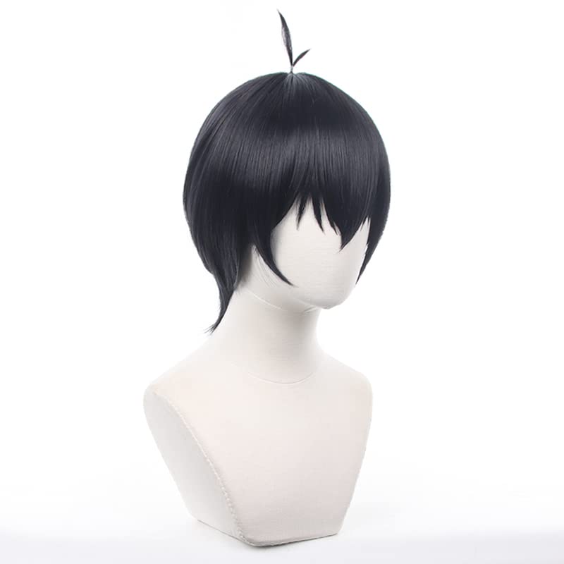 Eileen Blue Locks Kiyoshi Seiichi Wig, Heat-Resistant, Anime Wig, Disguise Wig, School Festival Wig [Includes Net]