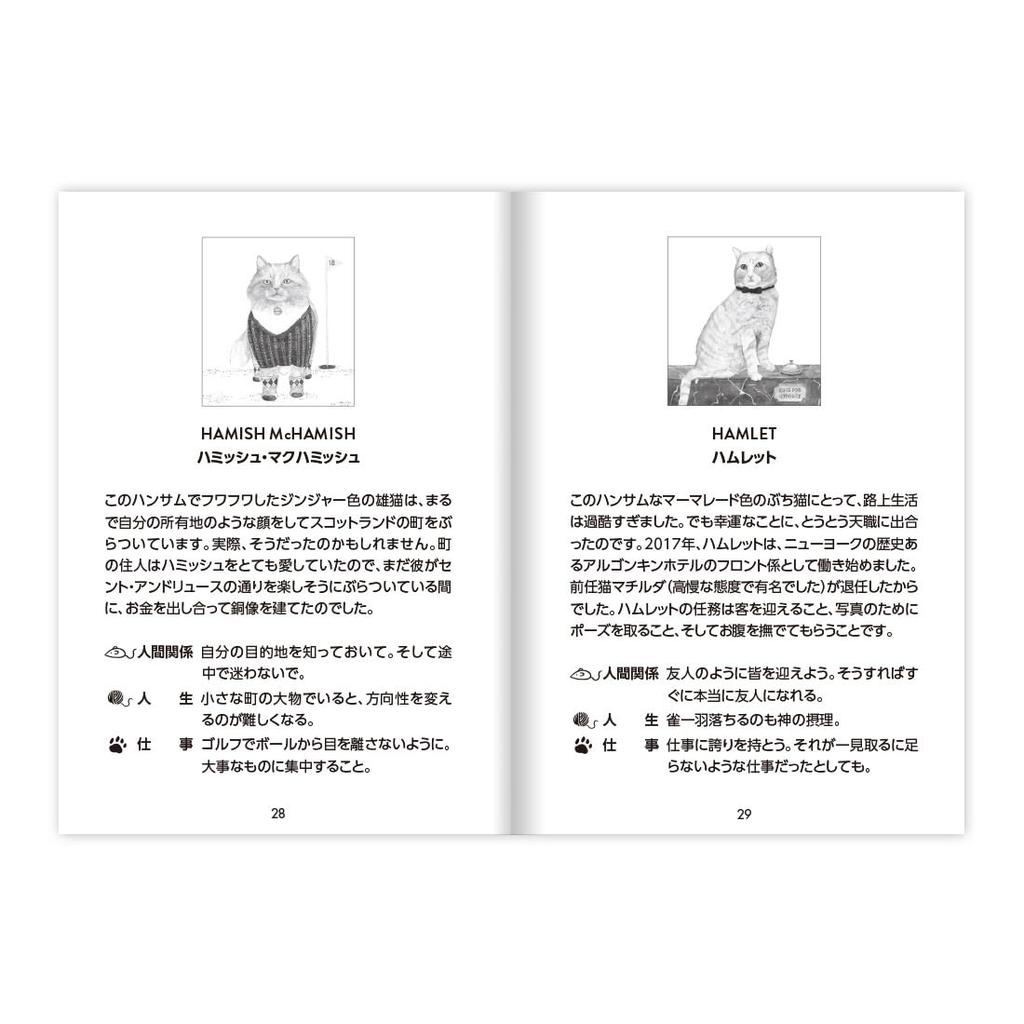 Cat Guru Card