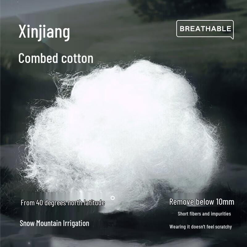 

Men s V-Neck 100% Cotton Short Sleeve Undershirt (2-Pack) 3XL