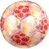 1PC Abstract Watercolor Flow Floral Soccer Ball Size 5 Football Machine Sewn Indoor/Outdoor Universal Football A65