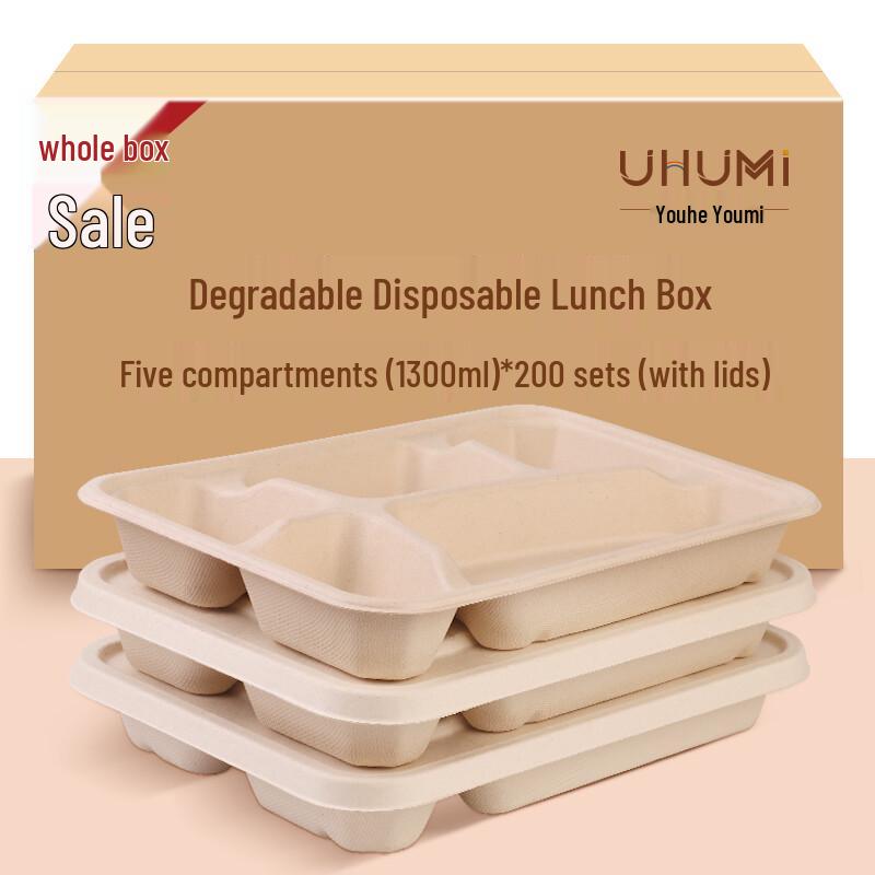 

Biodegradable Disposable Food Containers with Lids