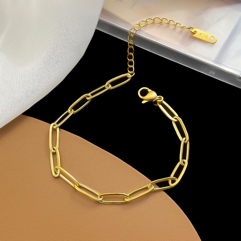 Gold Thin Chain Choker: Titanium Steel Layered Necklace with a Niche Design