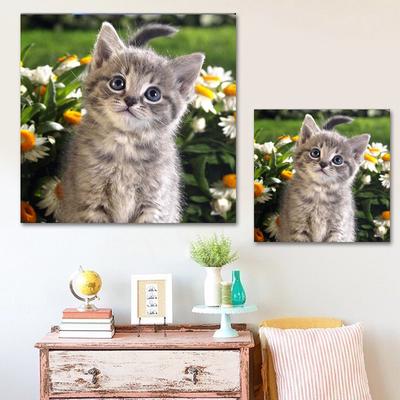 Diamant-Malerei, Tier, niedliche Katze, Diamant-Stickerei, kreisförmige Steine, Display, Heimdekoration