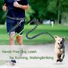 Pet Shrinking Reflective Traction Rope Pet Running Traction Rope Traction Belt