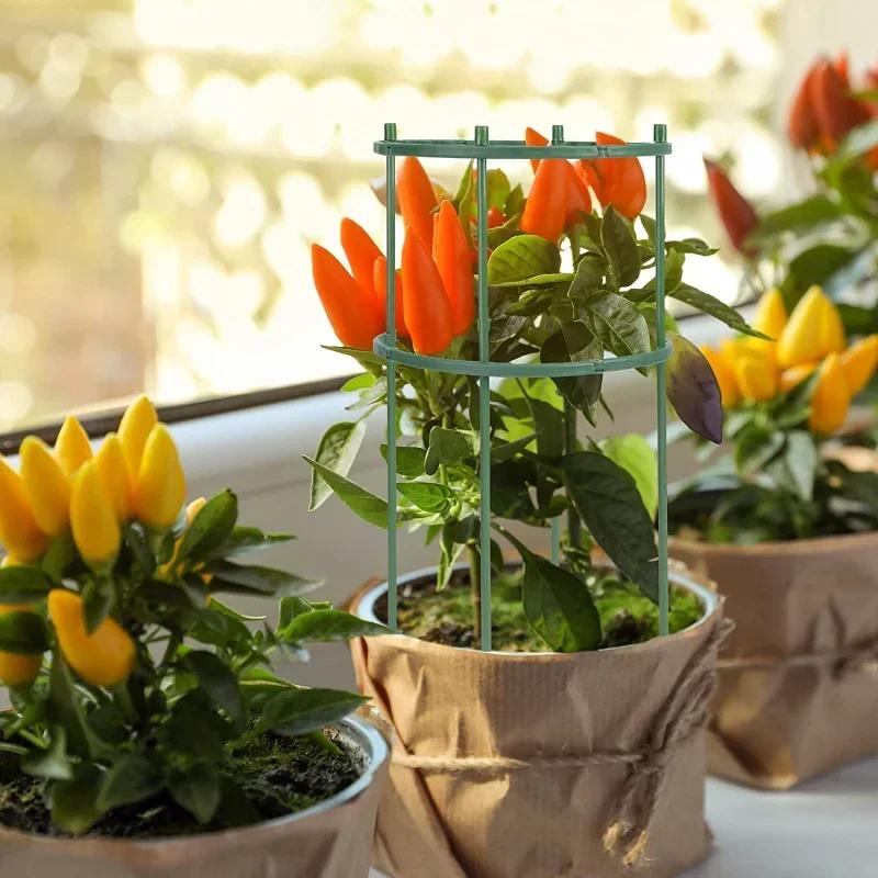 16PCS Plastic Plant Support Pile Stand Plant Support Pile for Flowers Greenhouses Arrangement Fixing Rod Holder Garden Tools