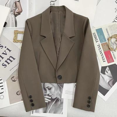 Korte Blazers voor Dames Koreaanse Mode Lange Mouw Knoopsluiting Pakjas Vrouw Elegant Alles Passend Kantoorblazer Dames