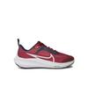Air Zoom Pegasus 40 Running Shoes (G.S.)