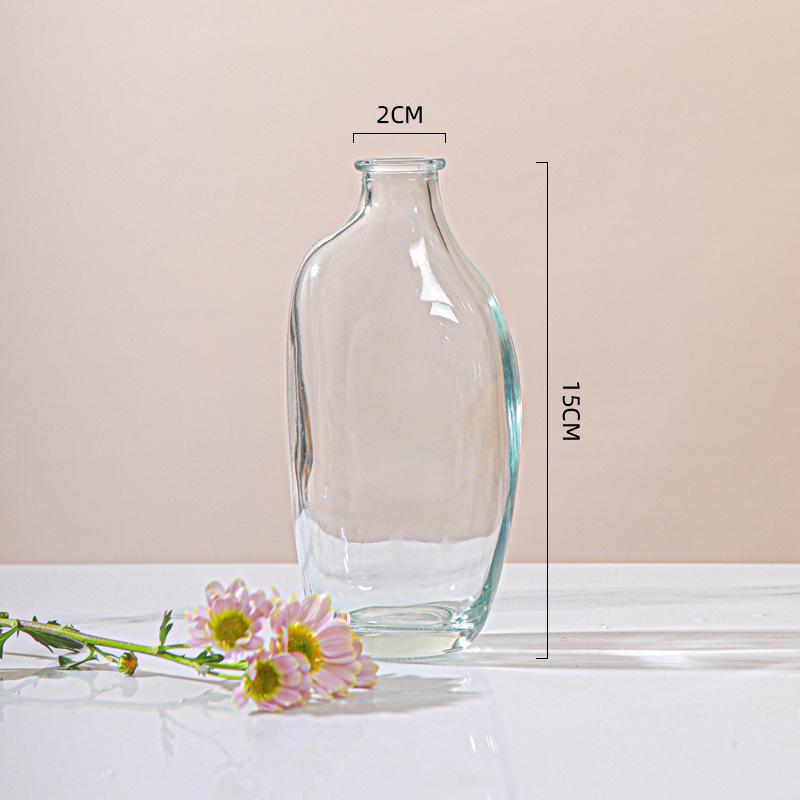 Minimalist Glass Vase for Hydroponic Green Plants - Perfect for Living Room Flower Arrangements and Home Decor