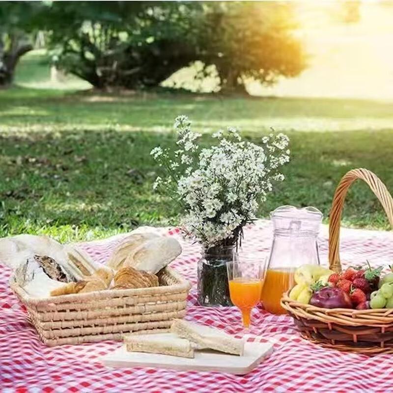 Portable Outdoor Moisture-Proof Mat