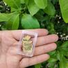 Gold 999 Leaf Phone Sticker: Wealth-Attracting Back Sticker, Ideal Birthday Gift