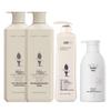 Adolph Revitalizing Hair & Body Care Set