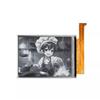 6" HD E-INK e-Paper USB Electronic Tag for Raspberry Pi