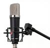 Lauten Audio Series v2 Großmembran-Kondensatormikrofon Schwarz LA-220