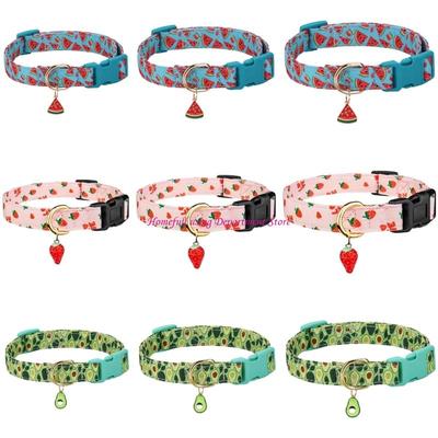 Köpek – Köpek Tasmaları ve Tasma Kayışları