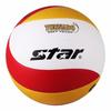 Star Standard No. 5 Training Volleyball