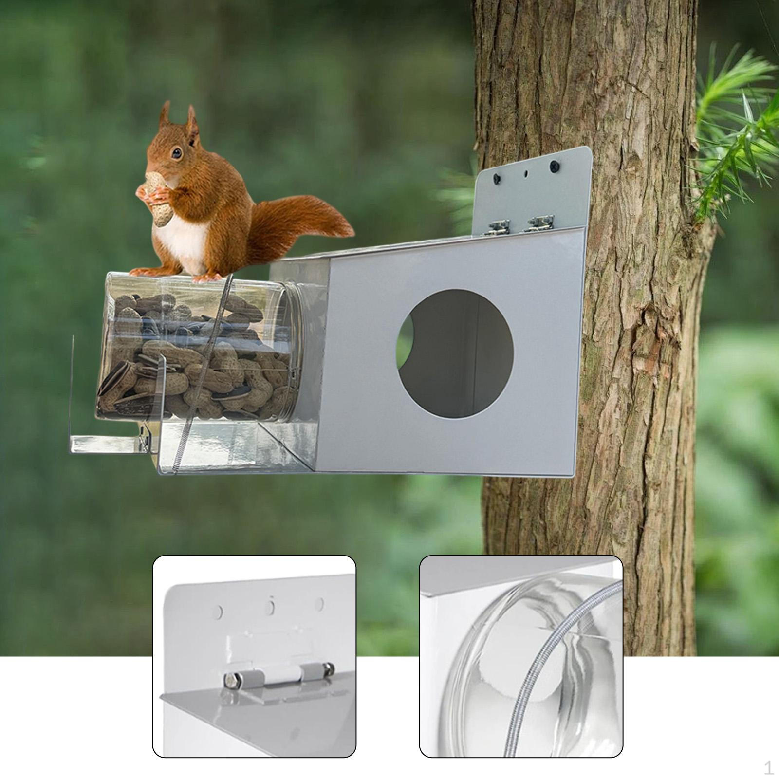 

Squirrel Feeder House Feeding Station with Removable Storage Bottle for Outdoor