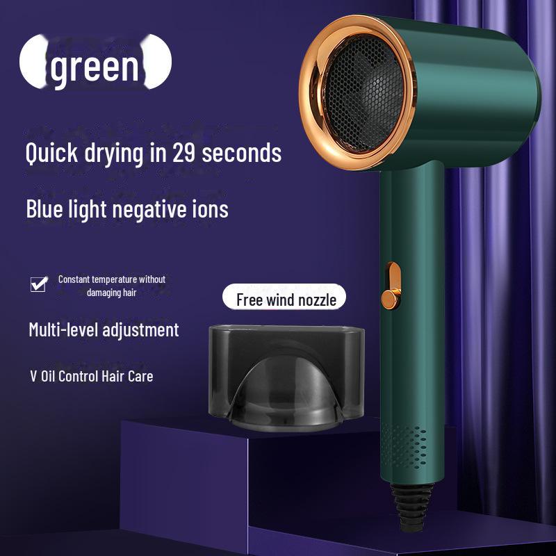 High-Power Hair Dryer with Ion Care and Hot/Cold Settings