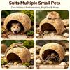 Natural Coconut Shell Hamster Nest Sturdy Coconut Leopard Habitat Bite-resistant Small Pet Toy Crawling Perching Tank Decoration