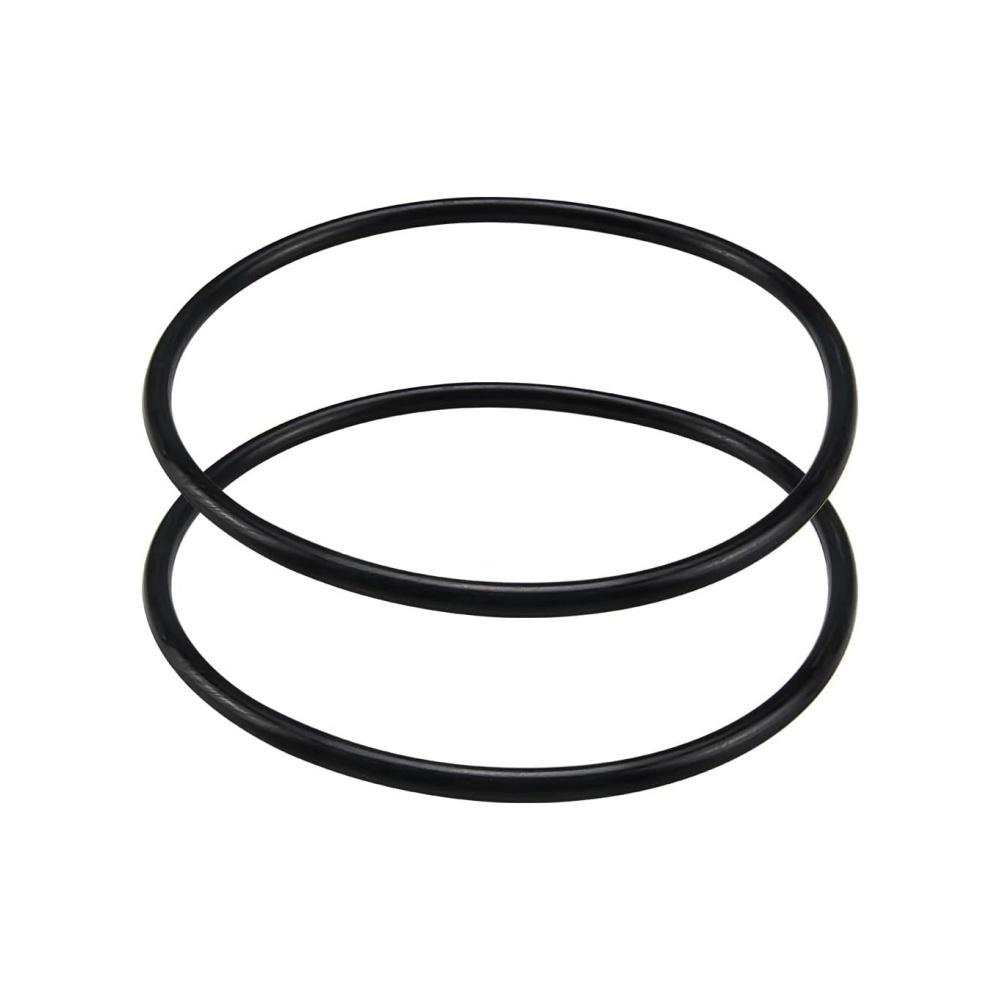 2Pcs SPX3000S Strainer Cover O-Ring For Super II SP3000 Series