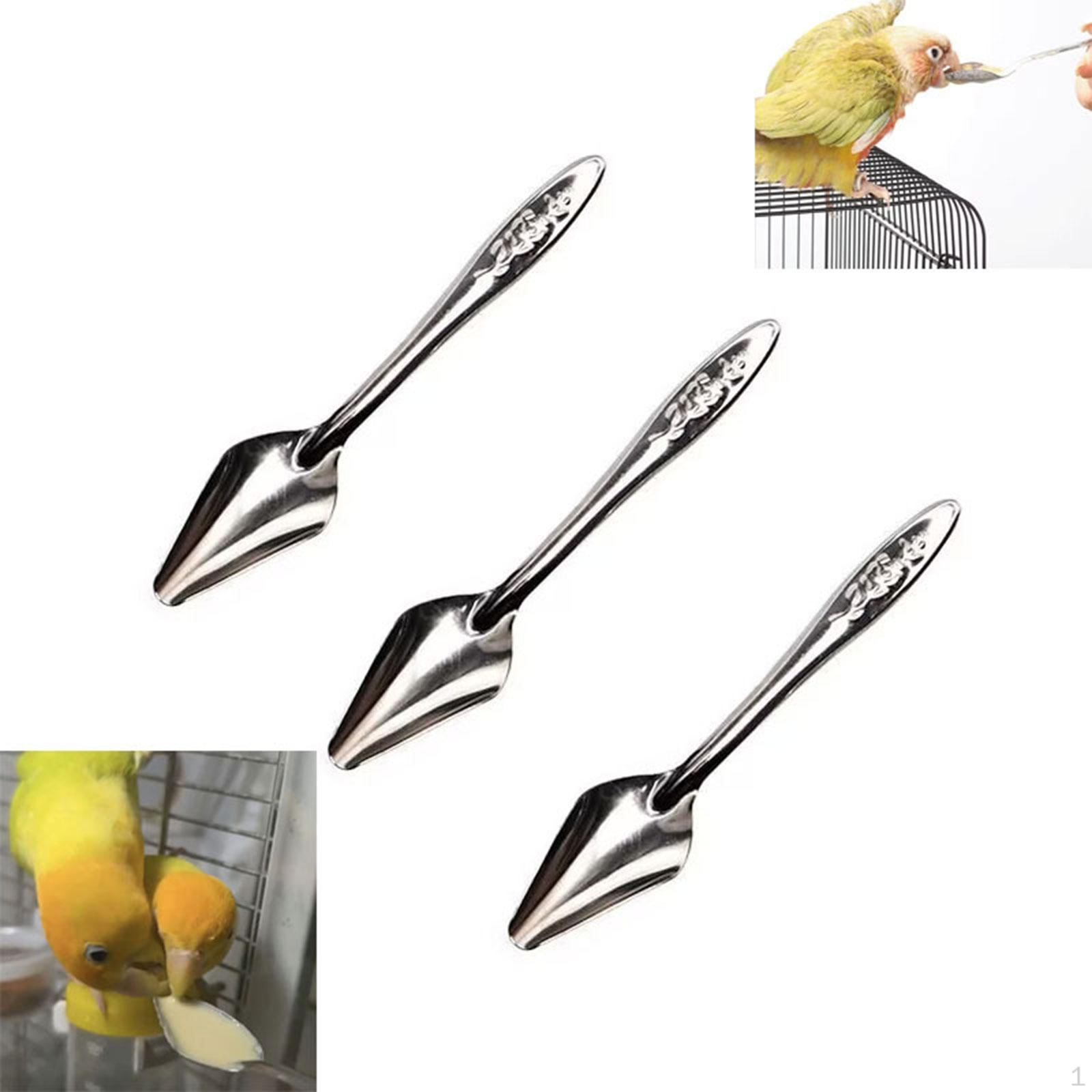 

Bird Feeder Spoon Hand Tool Accessory, Portable Metal, Sturdy Professional, Practical Premium 2 Pieces Set