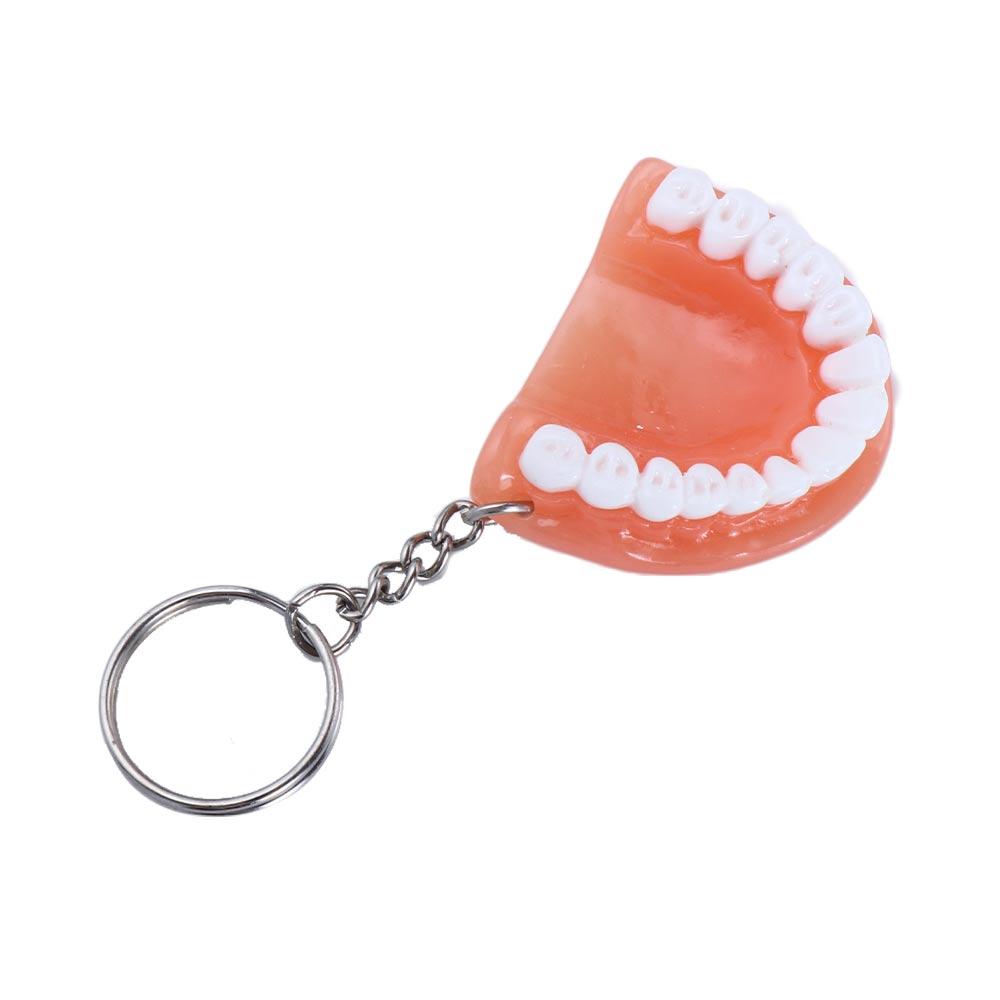 Dental Decoration Dental Accessories Resin Teeth Shape Upper Jaw Teeth Keyring Denture Key Chain Tooth Key Chain Teeth Pendant