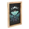 Something Different Wooden Luna Moth Framed Poster