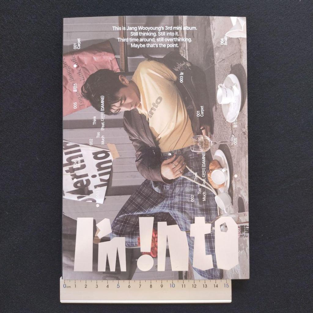 [USED] 2PM Wooyoung I'm Into (Feeling Ver.)