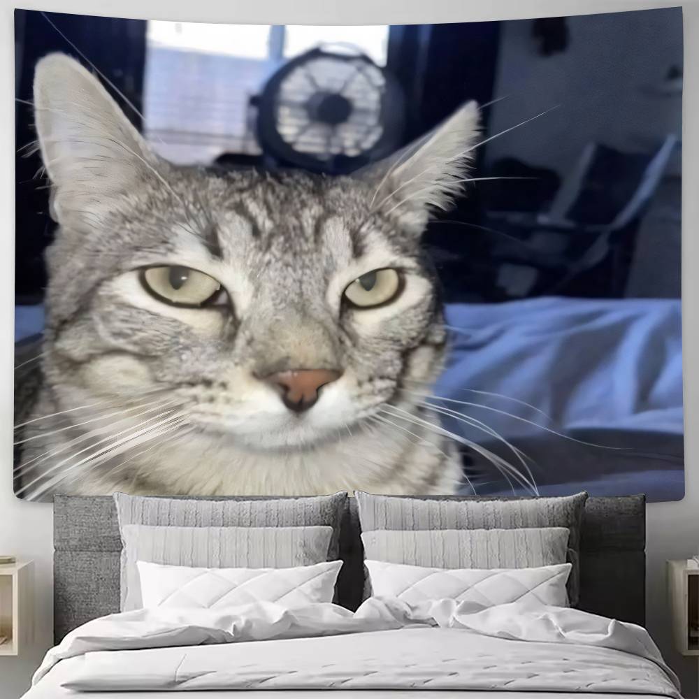 Large Big Funny MEME Cat Game Room Tapestry Living Room Bedroom Gamer Room Decoration Large Luxury Tapestry