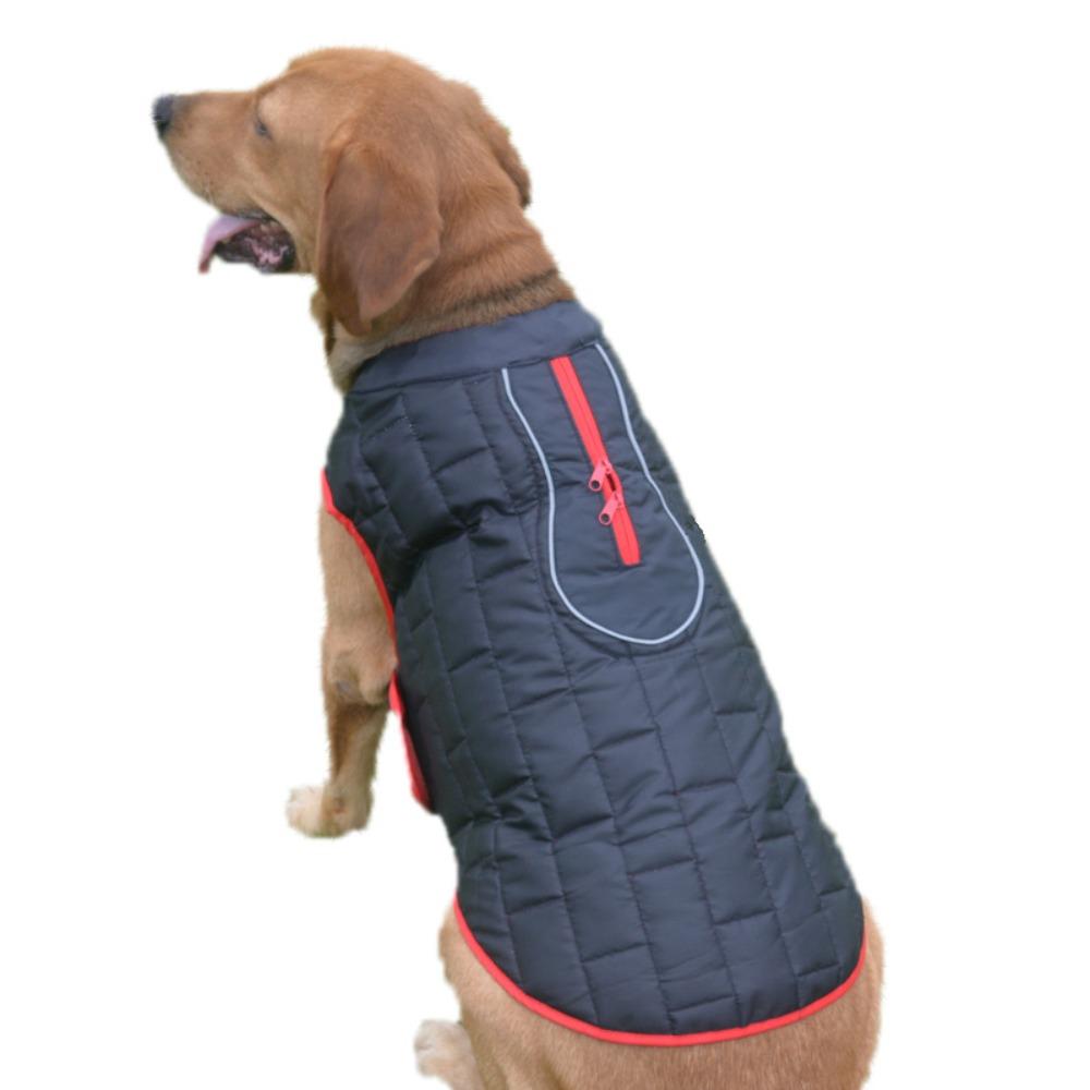Pet Clothes Autumn and Winter Dogs Can Wear Warm Jackets On Both Sides Pet Cotton-padded Clothes