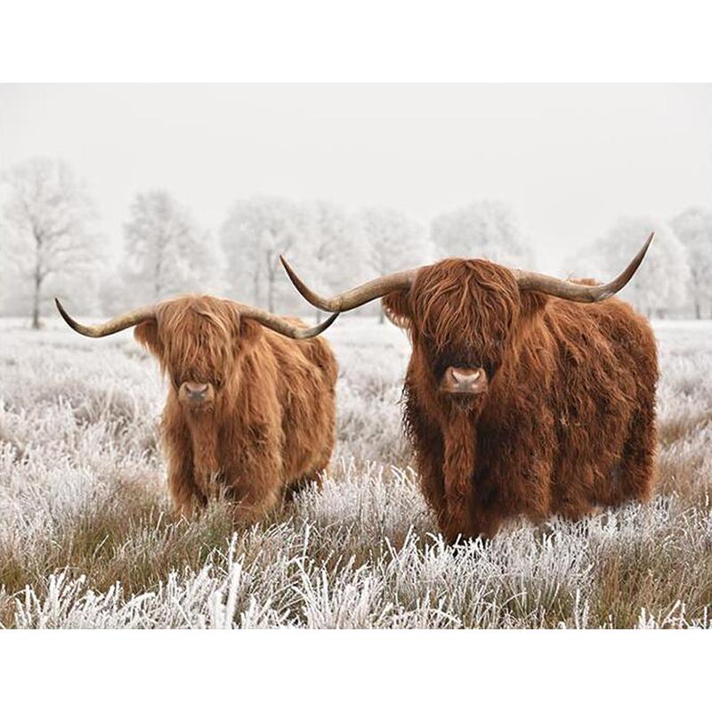 Highland Cow DIY 5D pictură cu diamante, mozaic, rotund complet, rășină, broderie cu diamante, seturi cu punct de cruce, decor acasă