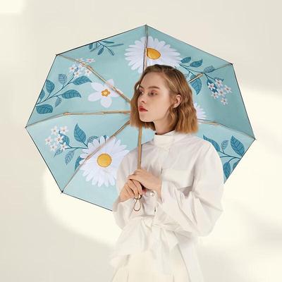 Accessoires – Parapluies