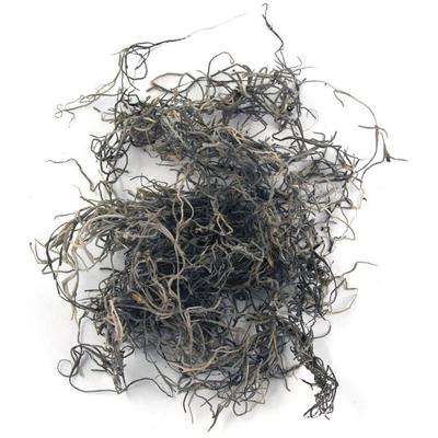 Jungle Mousse Nature 20 G