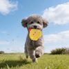 Plush Squeaky Dog Toy with Short Mop Velvet Interactive Stuffed Toy for Small Medium Large Breeds Cute Animal Soft Dog