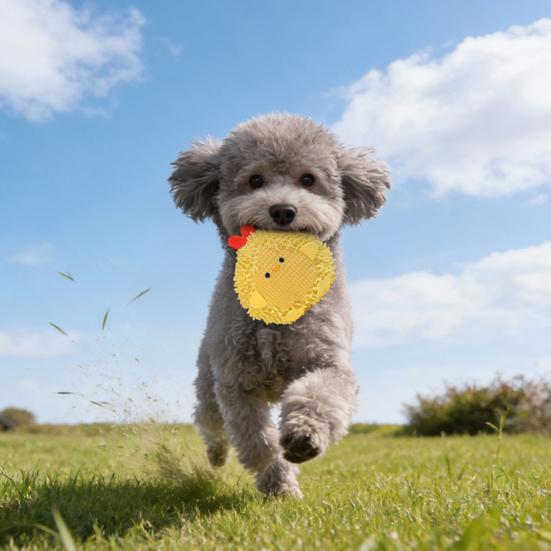 Plush Squeaky Dog Toy with Short Mop Velvet Interactive Stuffed Toy for Small Medium Large Breeds Cute Animal Soft Dog