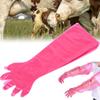 50 Stück Einweg-Armhandschuhe Weich Elastisch für Vieh Tierärztliche Untersuchung Rot
