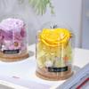 Mini Glass Dome with Preserved Flower - Ideal Gift for Mother's, Women's, Teacher's Day, Valentine's & Christmas