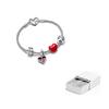 Pandora Love Story Chain Set Women Bracelet Silver ZT2497