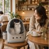 Transparent Pet Carrier with Window | Foldable, Backpack, for Travel