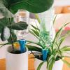 6/12/18/36Pcs Waterer, Drip Irrigation Device For Household Plant Pots, Adjustable Automatic Drip Device For Flower Gardens