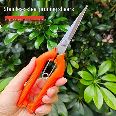 Stainless Steel Pruning Shears for Bonsai, Fruits, and Vegetables