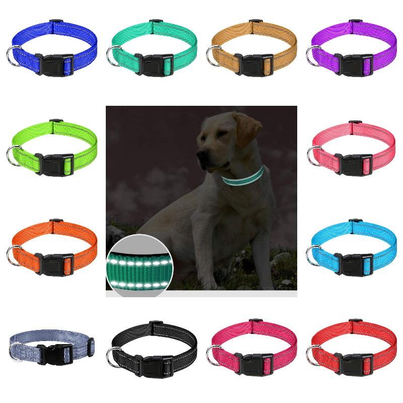 Durable Reflective Neoprene Dog Collar Available In 12 Vibrant Colors And 5 Sizes