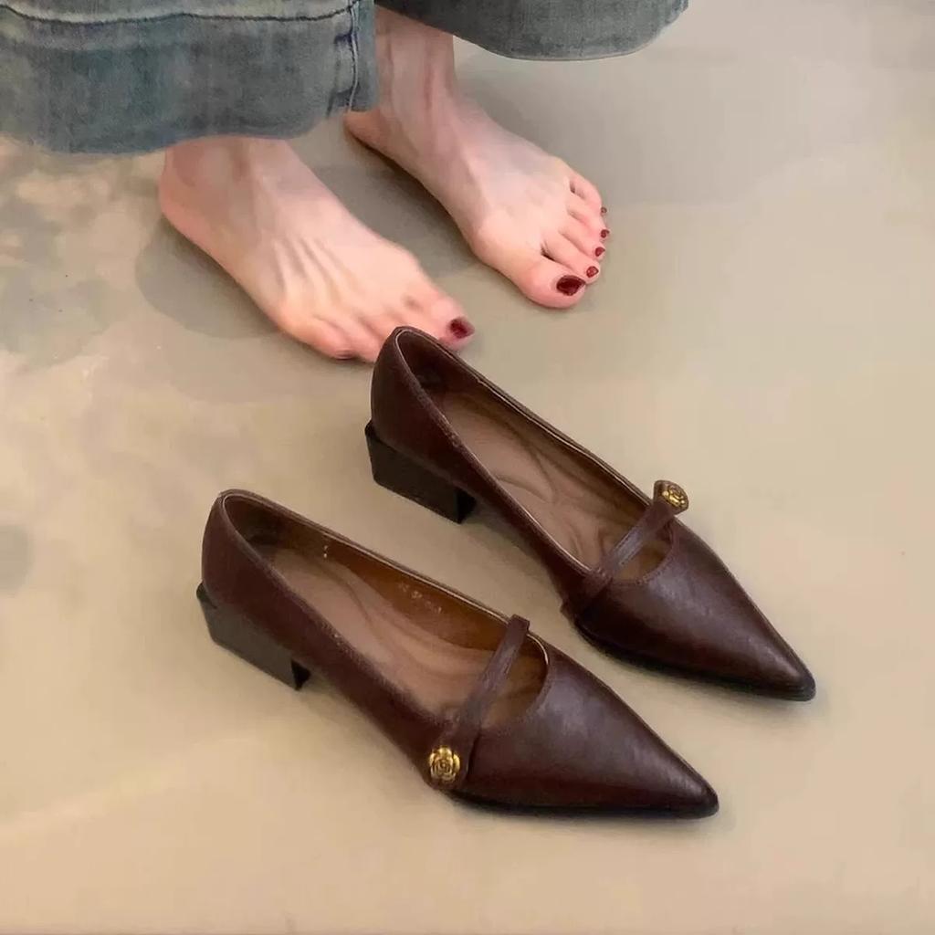 Fashion Sharp Pointed Mid Heeled Mary Jane High Heels, Women's Shallow Shoes, One Button Thick Heels Women Shoes Heels