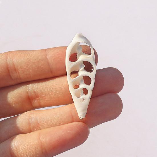 Center Cut Shells Natural Center Cut Sea Shells Pre-Cut Conch Slices for DIY Crafts Wind Chimes Coastal Home Decor Nautical Jewelry