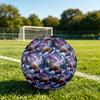 1pc Winter Fox Aurora Theme Soccer Ball Football, Size 5, Lightweight PVC, Outdoor Training Soccer Ball,Sports Gift T61463