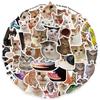 Kawaii Cat Sticker Cute Girl Sticker Kawaii Cartoon Princess Girl Sticker Lovely Sticker for DIY Decorative Scrapbook Bottle Luggage