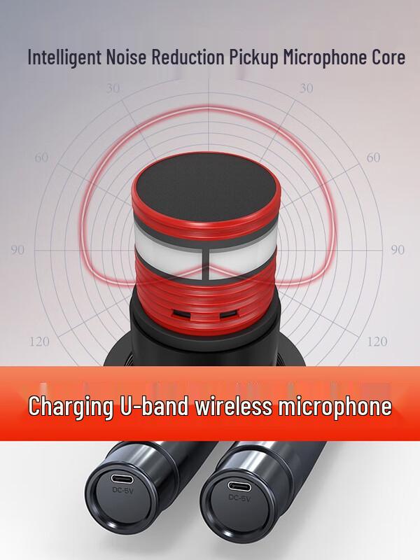 SANSUI K91 All-in-One Karaoke System with 21-inch Display CN Plug (adapter Included)