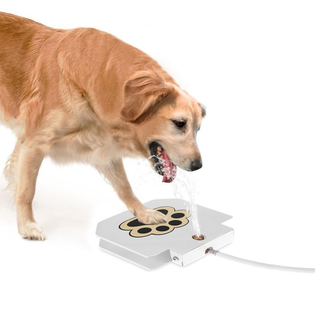 Dog Outdoor Dog Drinking Water Fountain Step On Keeps Cool In Summer