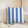 Fashion Stripes Design Art Cushion Cover Pillow Case Plush Fabric Soft Double Sided Print Sofa Cushion Cover Throw Pillow Covers