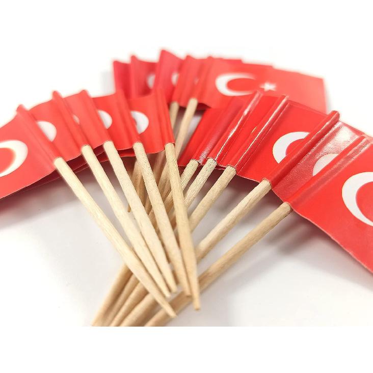 QQSD Turkey Toothpick Flag Turkish Small Mini Cupcake Topper Flags,100 pcs